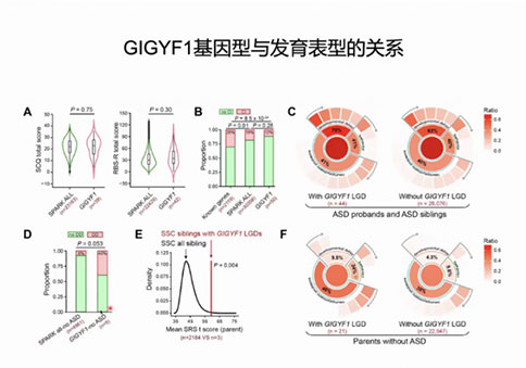 聚焦孤獨癥的遺傳基礎與神經(jīng)環(huán)路研究 