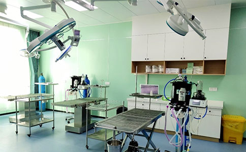 瑞沃德與瑞派寵物醫(yī)院以人才培養(yǎng)助力動(dòng)物健康事業(yè)發(fā)展 