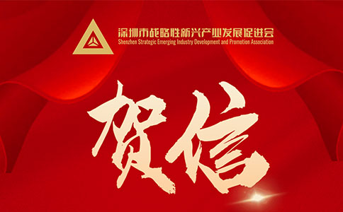 榮獲2022粵港澳大灣區(qū)戰(zhàn)略性新興產(chǎn)業(yè)“領(lǐng)航企業(yè)”，引領(lǐng)未來社會經(jīng)濟(jì)發(fā)展