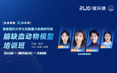吉訓(xùn)明教授團(tuán)隊(duì) | 腦缺血?jiǎng)游锬Ｐ途€下培訓(xùn)班，報(bào)名開(kāi)啟！