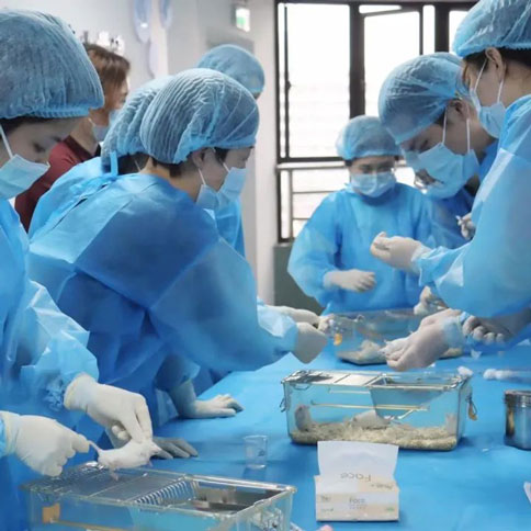 更適合動物科研寶寶的免費實操培訓，來了！瑞沃德-達科為-靈賦拓普