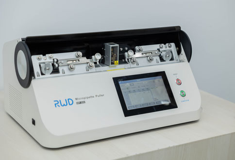 精彩回顧 | 連開兩期，瑞沃德光遺傳與光纖記錄技術(shù)培訓(xùn)班圓滿成功！