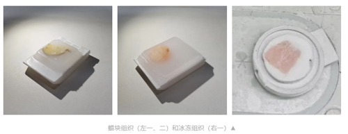 誠邀您參加！高分子材料試切進行中