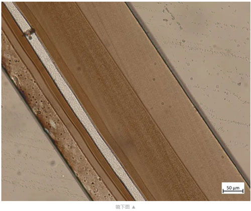 誠邀您參加！高分子材料試切進行中