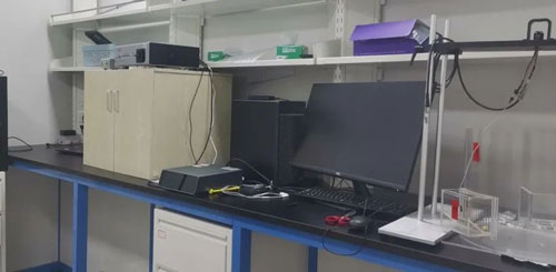 走進(jìn)浙江大學(xué)楊鴻斌課題組：光纖記錄系統(tǒng)在神經(jīng)環(huán)路研究中的應(yīng)用