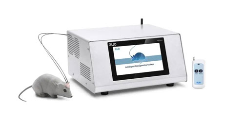 瑞沃德10月光遺傳與光纖記錄技術(shù)培訓(xùn)班圓滿收官！