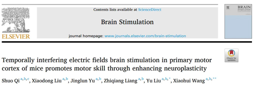 上海體育大學(xué)王曉慧團(tuán)隊(duì)揭示TI刺激促進(jìn)小鼠運(yùn)動技能提升及其機(jī)制