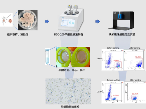 DSC-200單細(xì)胞懸液制備儀，雙通道開啟“新品鉅惠”（內(nèi)含多重優(yōu)惠福利）