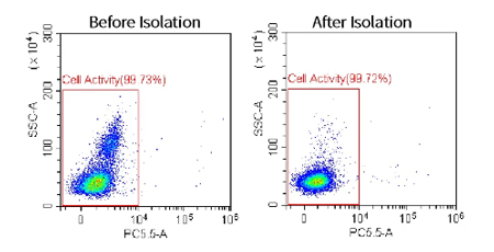 瑞沃德推出無柱式磁性細胞分選平臺，純度&效率雙優(yōu)選！僅需10min！