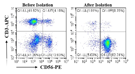瑞沃德推出無柱式磁性細胞分選平臺，純度&效率雙優(yōu)選！僅需10min！