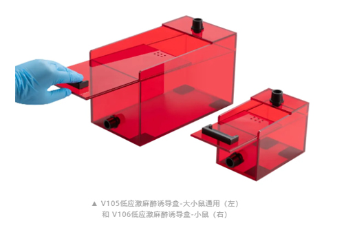 V106紅色低應(yīng)激麻醉誘導(dǎo)盒，開啟動物福利新篇章