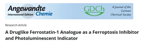 鐵死亡診療探針突圍戰(zhàn)——對話中國海洋大學(xué)閆江坤博士