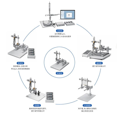 瑞沃德攜手甌江實(shí)驗(yàn)室再啟新程