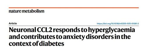 揭示糖尿病誘發(fā)焦慮障礙關(guān)鍵機(jī)制