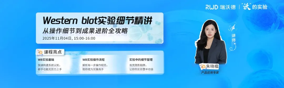 Western Blot實驗1.jpg