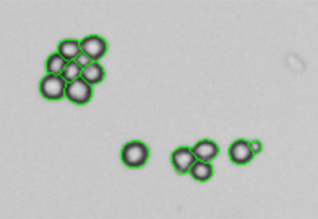 計(jì)數(shù)精準(zhǔn)，保障試驗(yàn)效果