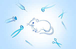 動物手術(shù)教學