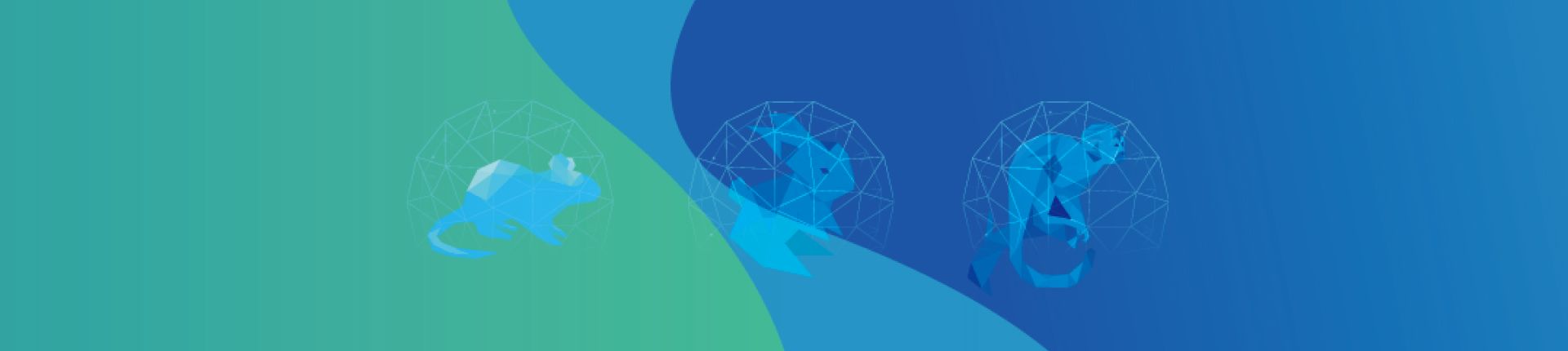 動(dòng)物手術(shù)與造模