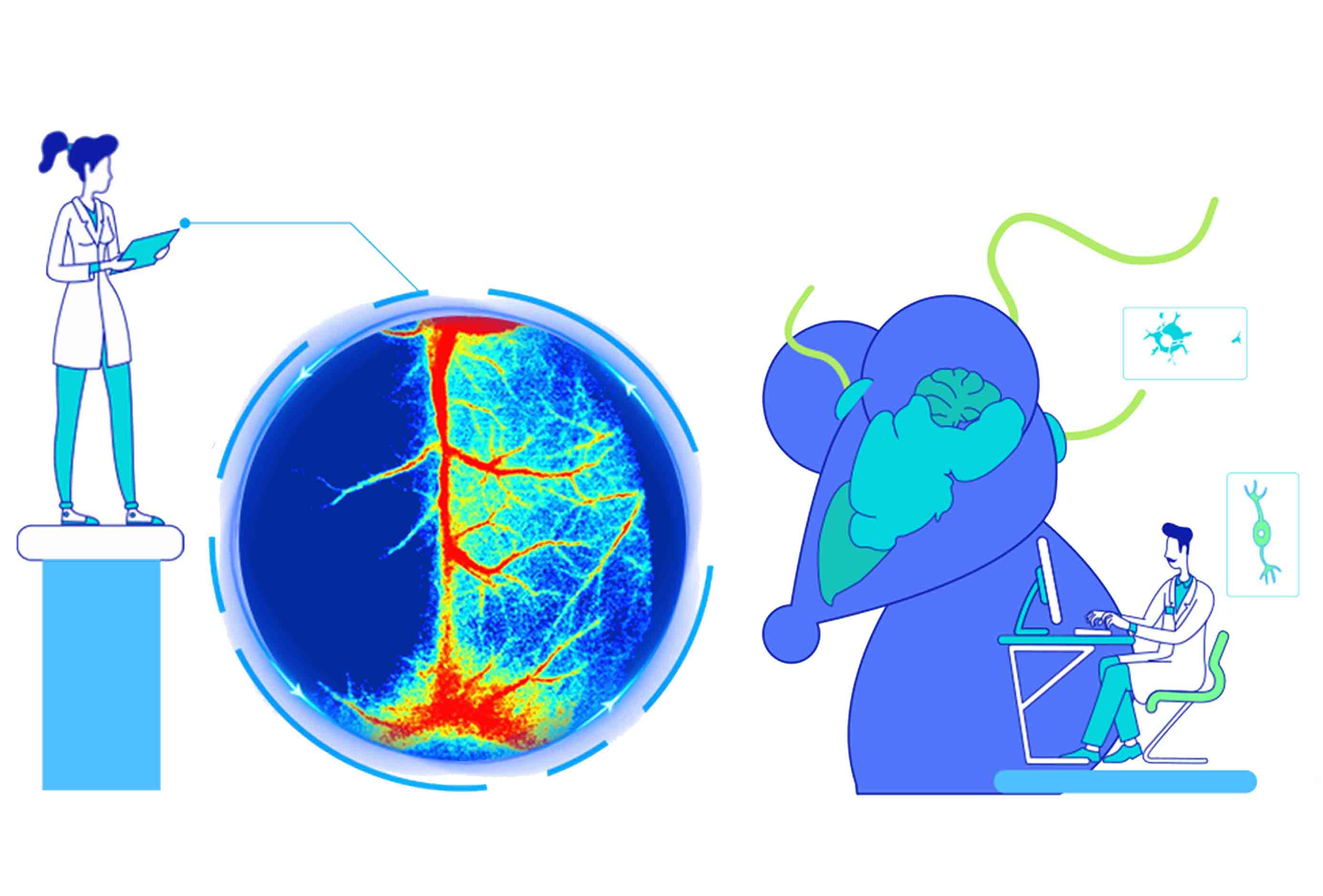 神經(jīng)信號調(diào)控與檢測