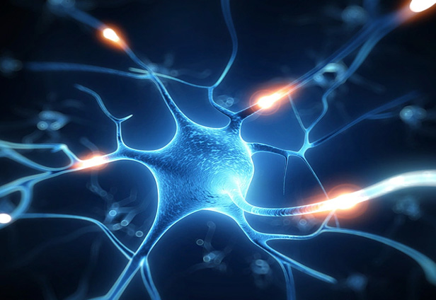 持續(xù)進(jìn)化