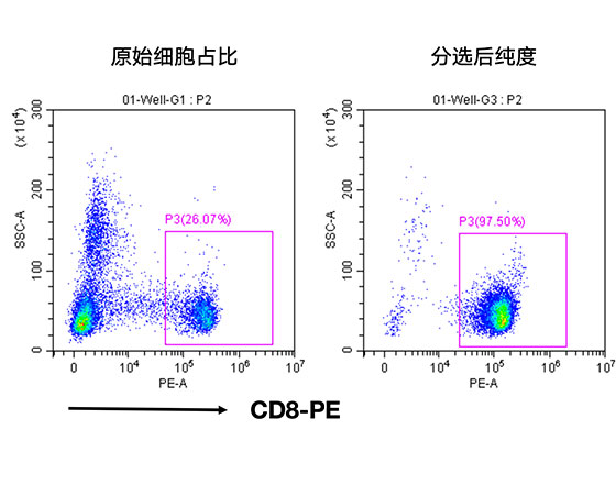 人CD8+細(xì)胞分選試劑盒（科研級）
