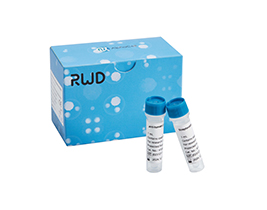 人CD8+細(xì)胞分選試劑盒（科研級）