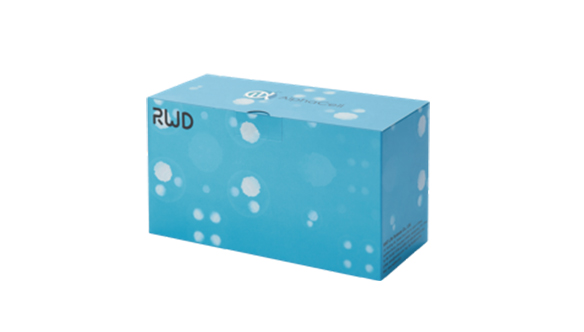 人臍帶組織溫和酶解試劑盒