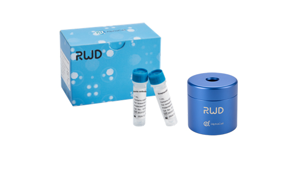 無(wú)柱式納米磁珠細(xì)胞分選試劑