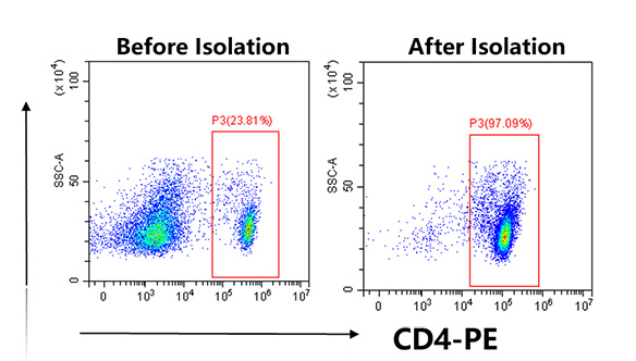 鏈霉親和素納米磁珠（科研級）