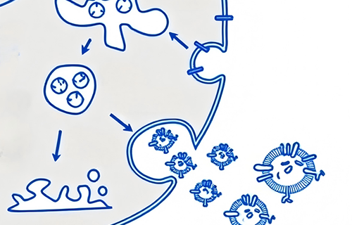 外泌體與納米顆粒分離